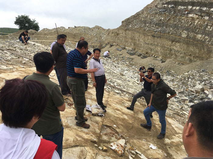 国家古生物化石专家委员会组织专家到丰宁满族自治县四岔口乡恐龙化石点进行实地考察。